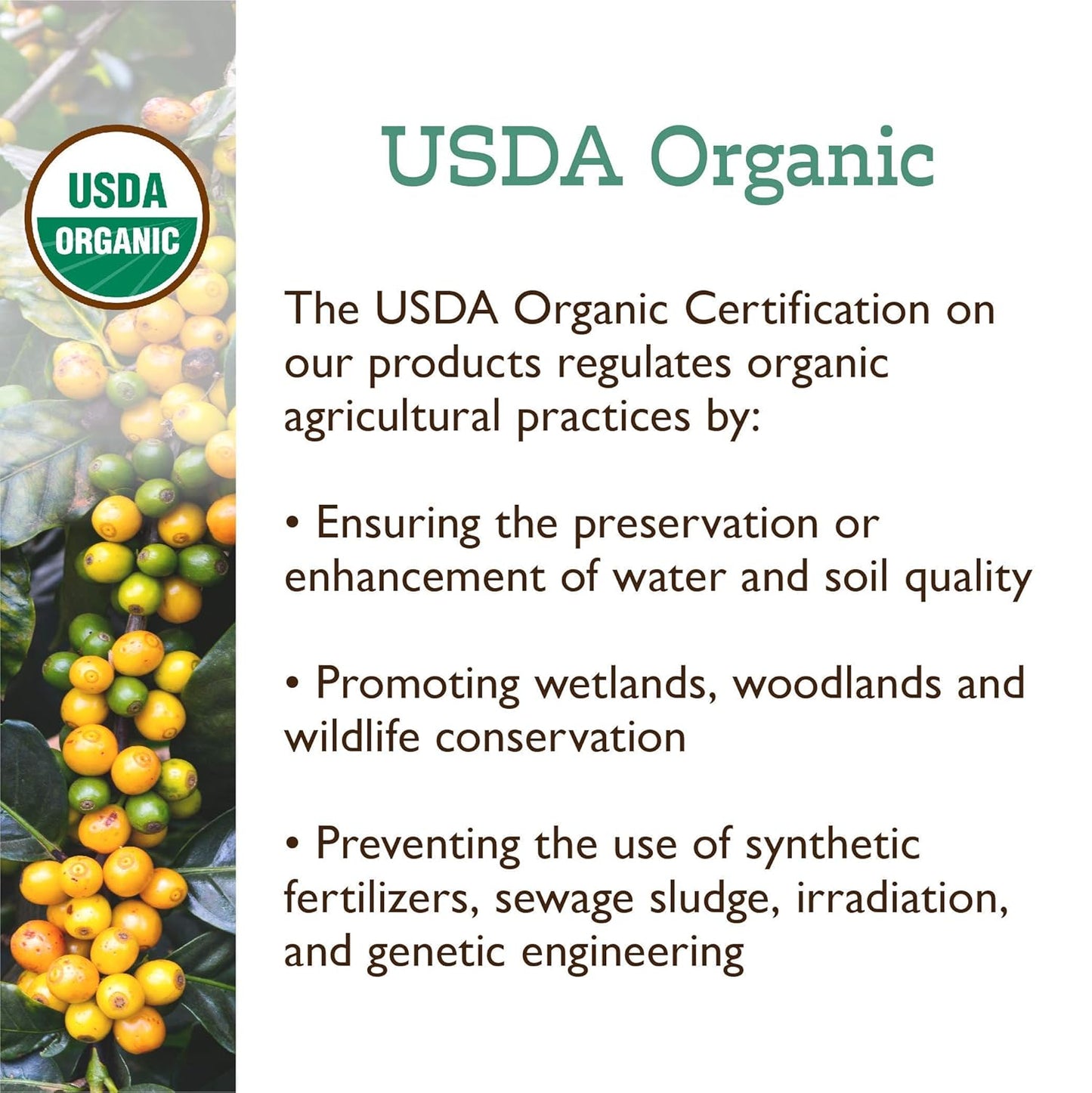 Fresh Roasted Coffee, Organic Colombian | USDA Organic, 100% Single Origin, Kosher | Medium Roast 5 lb (80 oz) Whole Bean