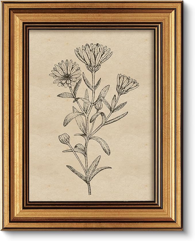 ARPEOTCY Gold Framed Canvas Art Prints, Botanical Wildflower Art Painting by ARPEOTCY