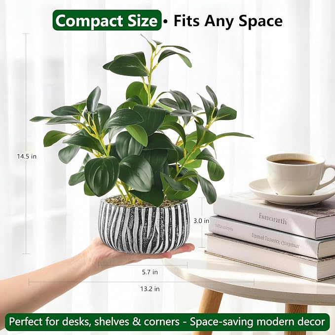 florisso Artificial Succulents - Image 8