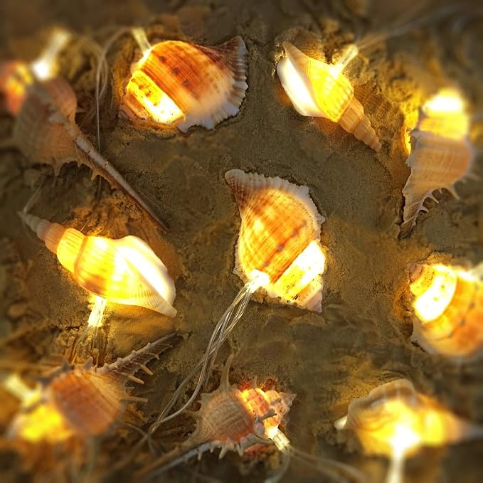 WSgift LED String Lights, Ocean Conch Beach Themed Battery Powered 9.18 ft 10 by WSgift