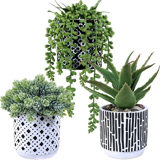 Winlyn 3 Pcs Small Potted Succulents Plants Artificial Aloe Hops String of by Winlyn