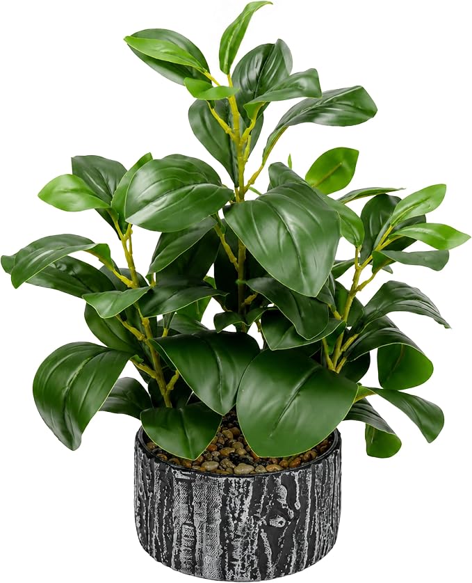 Der Rose 15.7" Artificial Plants Indoor, Money Leaf Fake Plants in Pot by DerRose