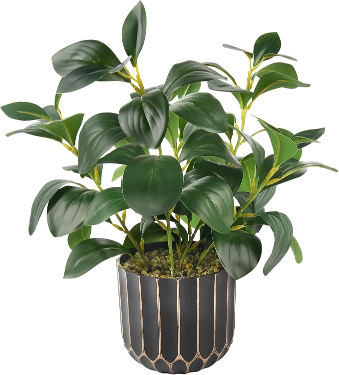 florisso Artificial Succulents by florisso
