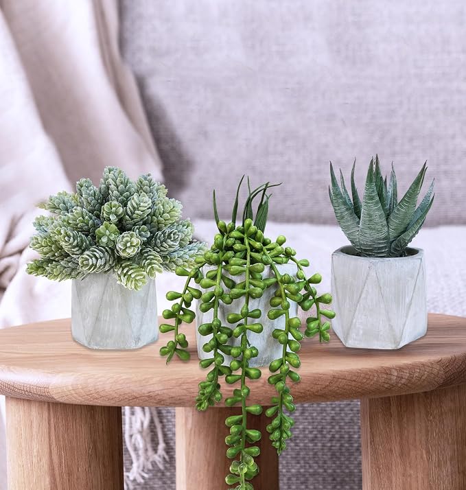 Winlyn Set of 3 Mini Artificial Succulent Plants Potted Small Fake Aloe Hops - Image 8
