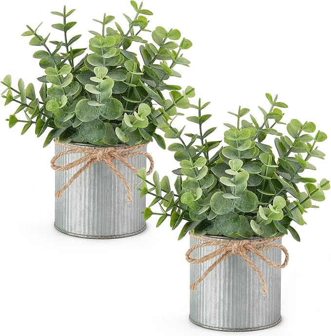 Mkono 2 Packs Small Fake Plants in Farmhouse Galvanized Pots Table Centerpiece by Mkono