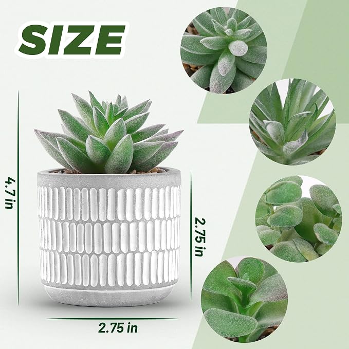 Der Rose Set of 4 Succulents Plants Artificial Fake Plants - Image 2