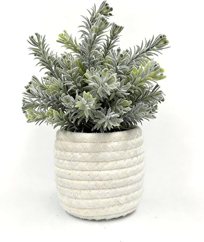 Hopewood Small Artificial Plants Eucalyptus by Hopewood