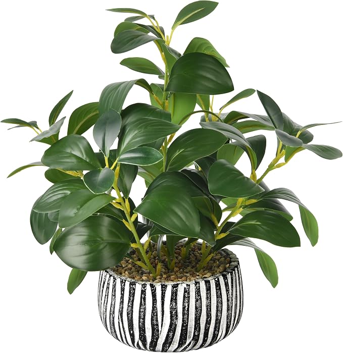 florisso Artificial Succulents by florisso