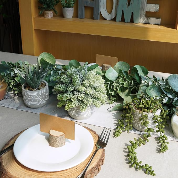 Winlyn Set of 3 Mini Faux Succulent Potted Plants Artificial Aloe Hops String - Image 9