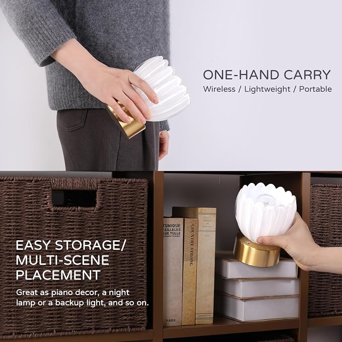 Shenmoyl Cordless Small Table Lamp - Image 4
