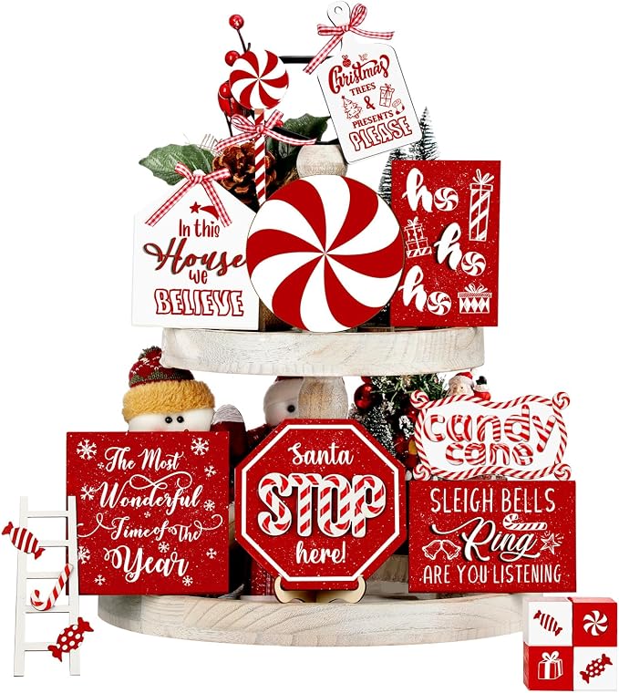Mifoci 14 Pcs Christmas Tiered Tray Decor Rustic Christmas Decorations Snowman by Mifoci