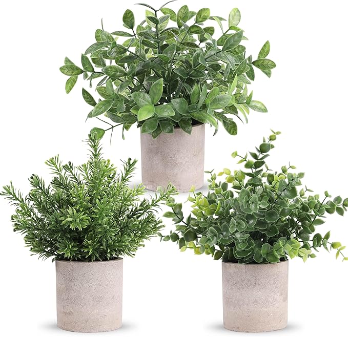 Der Rose 3 Pack Mini Potted Fake Plants Artificial Plastic Eucalyptus Plants by DerRose