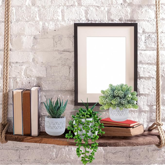 Winlyn Set of 3 Mini Faux Succulent Potted Plants Artificial Aloe Hops String - Image 6