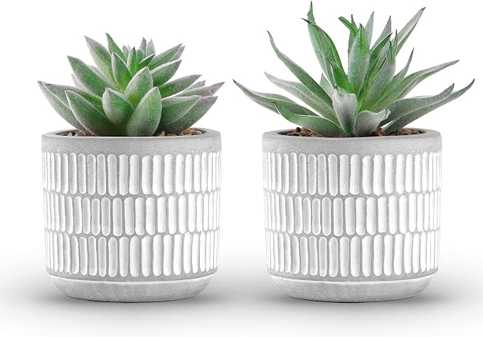 Der Rose Set of 2 Succulents Plants Artificial Fake Cactus Plants by DerRose