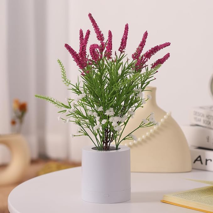 WSYEAR Lavender Night Light, Led Table Lamp - Image 8