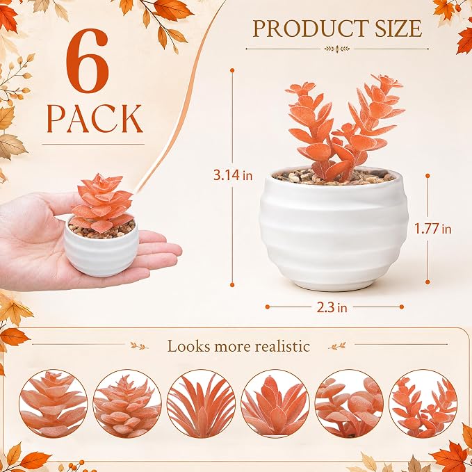 Der Rose Set of 6 Fall Succulents Plants Artificial Small Fake Plants - Image 2