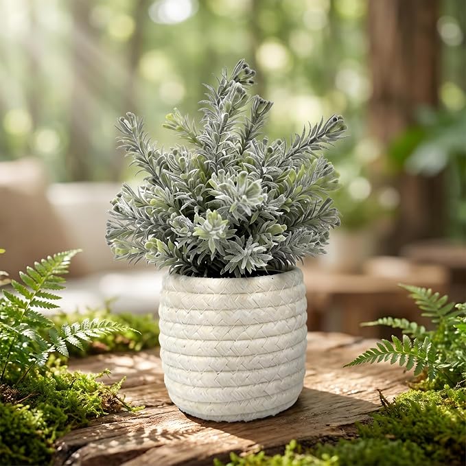 Hopewood Small Artificial Plants Eucalyptus - Image 3