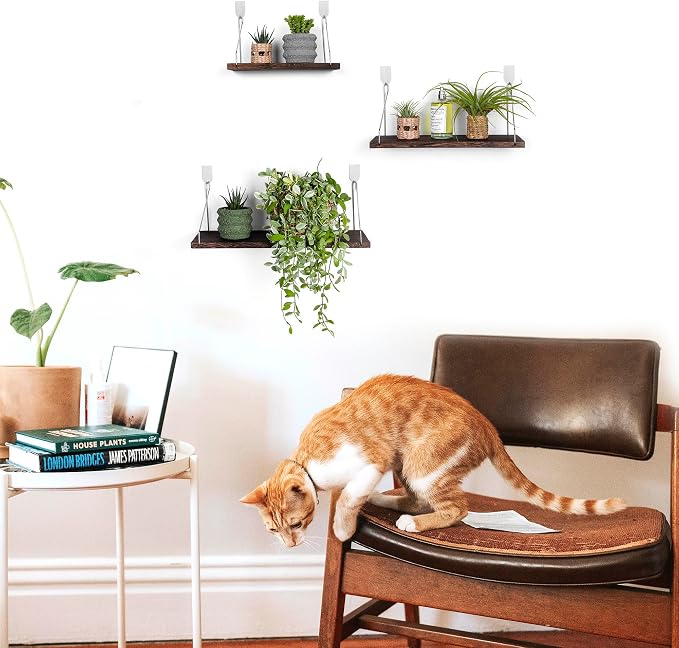 Floating Shelves Set of 3 Rustic Solid Wood Floating Shelf Wall Storage Shelves - Image 2