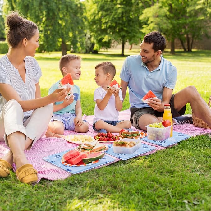 Reallnaive 4 Pcs Cooling Mat for Food Reusable Freezable Ice Mat for Buffet - Image 6