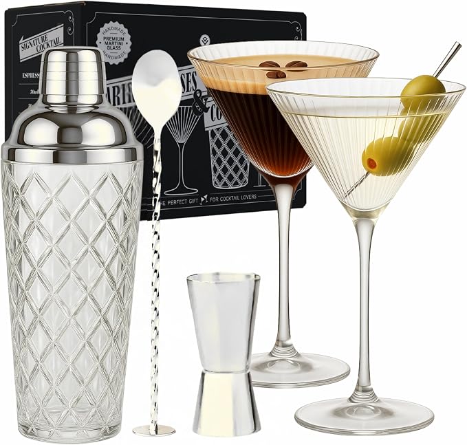 VEMACITY - Silver Luxury Home Mixology Cocktail Shaker Set - Glass Shaker with by Vemacity