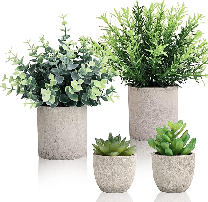 CEWOR 4 Pack Small Fake Plants Eucalyptus Rosemary Succulents Plants Artificial by CEWOR