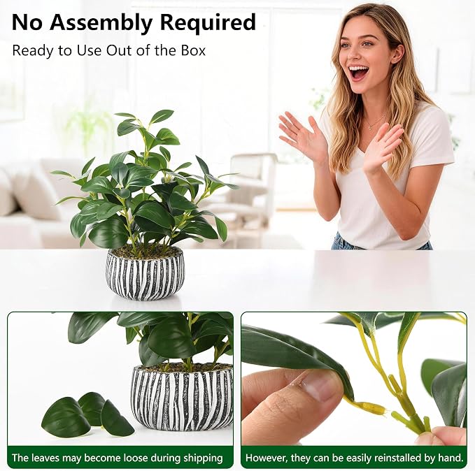 florisso Artificial Succulents - Image 2