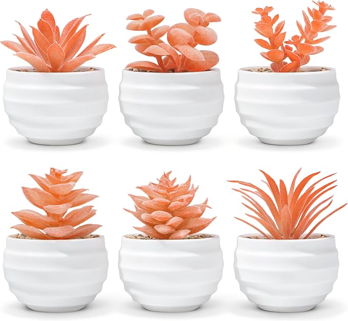 Der Rose Set of 6 Fall Succulents Plants Artificial Small Fake Plants by DerRose