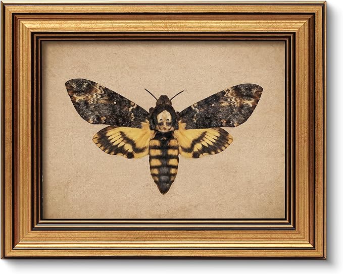 Vintage Gold Framed Wall Art, 8x10 Inch Gothic Skull Moth Canvas Print by ARPEOTCY