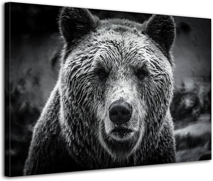 Bear Pictures Wall Decor Black and White Animal Canvas Wall Art by Unknown