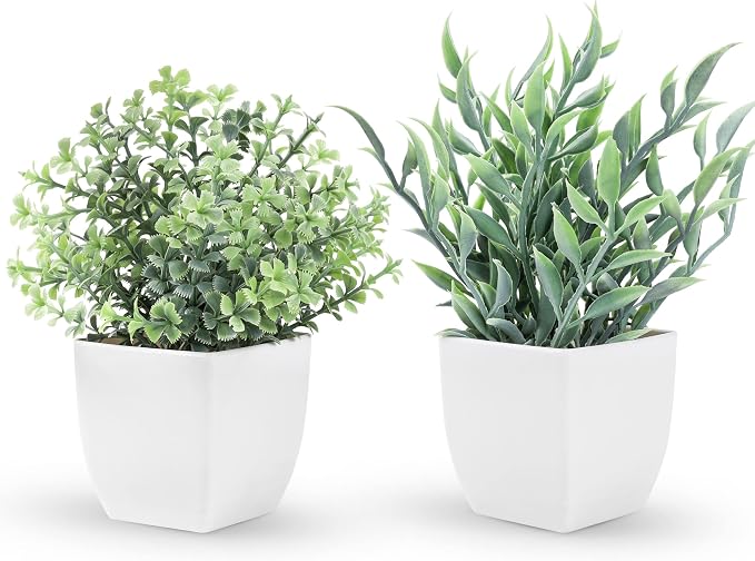 Der Rose 2 Pack Small Fake Plants Artificial Greenery Eucalyptus Plants in Pots by DerRose