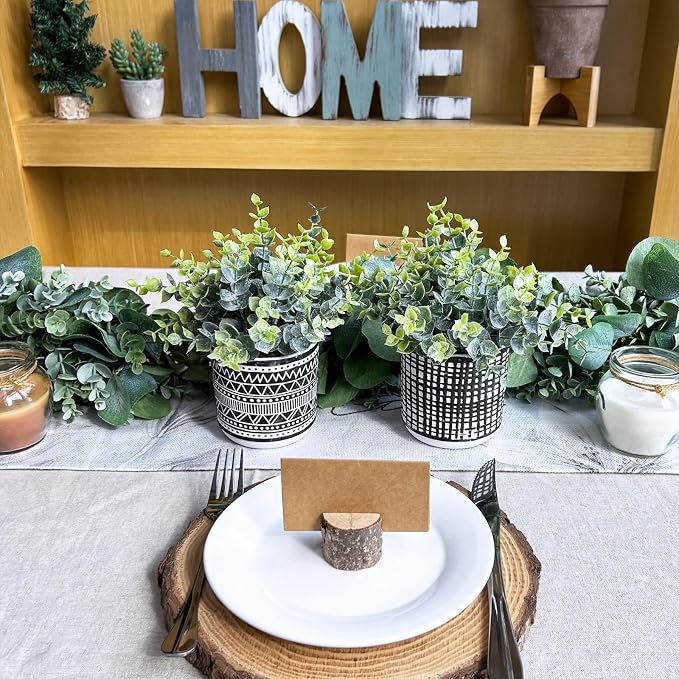 Winlyn Set of 2 Small Potted Plants Artificial Eucalyptus Plant in Black - Image 3