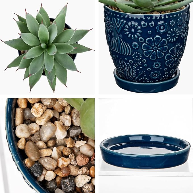 Briful Artificial Succulent Plant in Navy Blue Ceramic Planter - Image 6