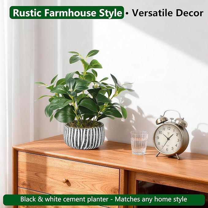 florisso Artificial Succulents - Image 7