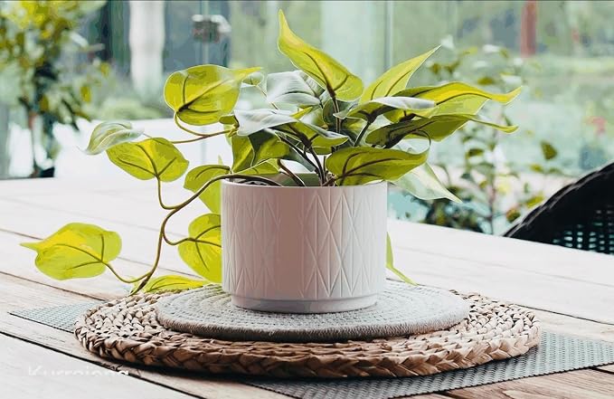 Kurrajong Farmhouse Light Green Fake pothos Plant | Fake Plant - Image 3