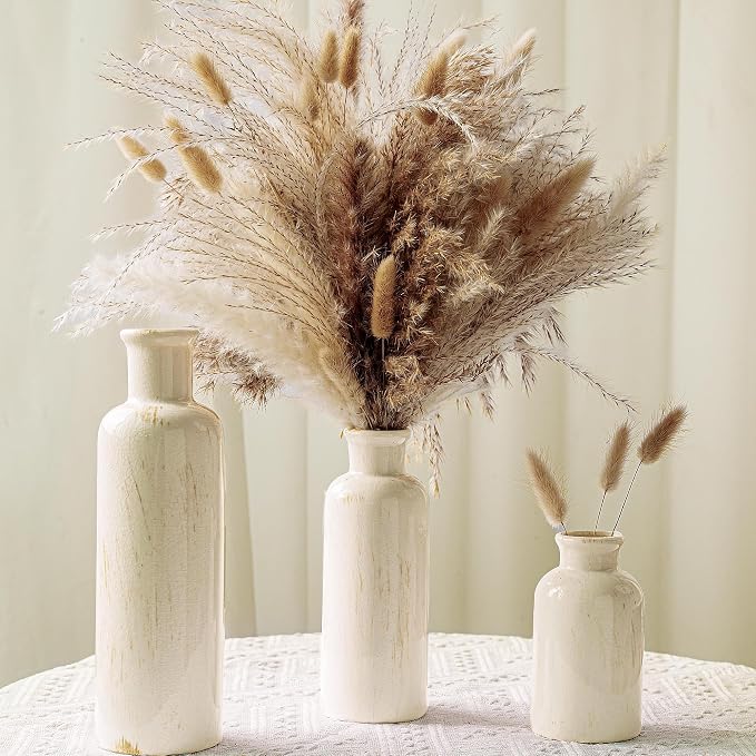 Pampas Grass with Vase Set – 3 Beige White Ceramic Vases with Natural Dried by Unknown