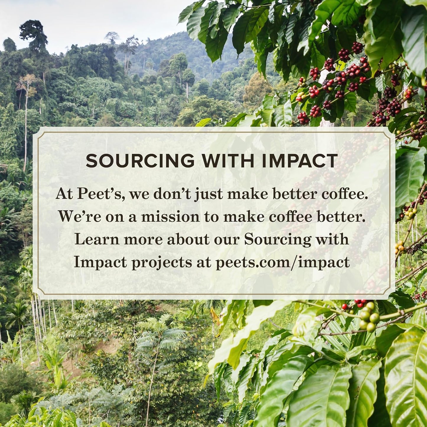 Peet's Coffee, Dark Roast Decaf Keurig K-Cup Pods - Decaf House Blend 60 Count (6 Boxes of 10 K-Cup Pods)