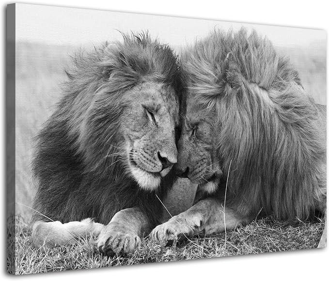 Lion Canvas Wall Art Black and White Lioness Pictures Bathroom Decor Minimalist by Unknown