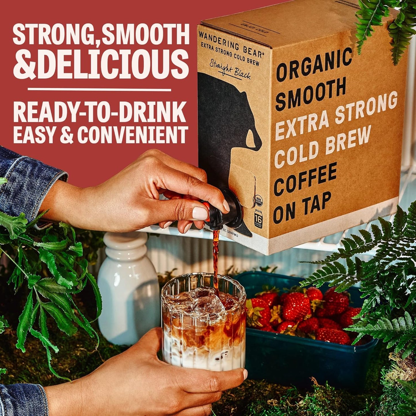 Wandering Bear Organic Mocha Cold Brew Coffee On Tap, 96 fl oz - Extra Strong, Bold, Smooth, Unsweetened, Shelf-Stable, Ready to Drink, Gluten Free, & Vegan, Iced Cold Brewed Coffee Drinks