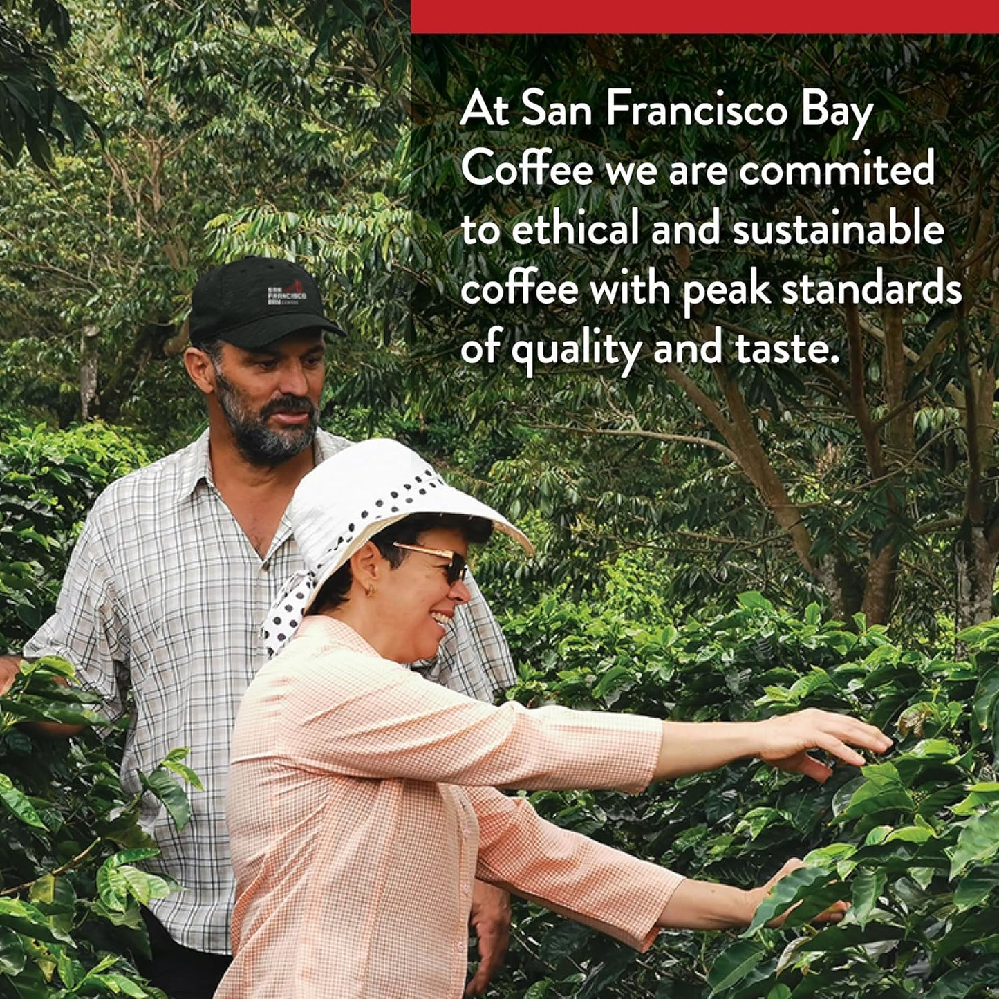 San Francisco Bay Compostable Coffee Pods - Donut Shop (80 Ct) K Cup Compatible including Keurig 2.0, Light Roast