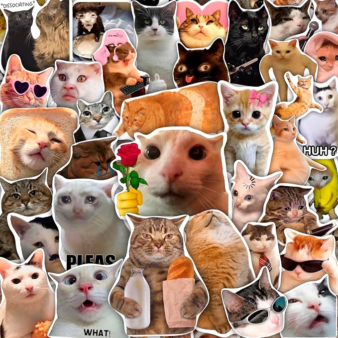 100Pcs Cat Meme Stickers, Funny Cat Sickers by BulbaCraft
