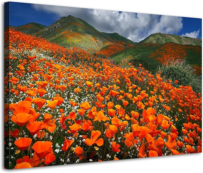 Orange Poppy Canvas Wall Art Nature Forest Mountain Landscape Pictures Wall by Unknown